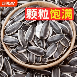 内蒙古原味炒熟葵花籽大颗粒瓜子新炒休闲零食2025走亲访友送礼