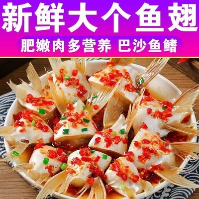 冷冻水产巴沙鱼鱼鳍蒸菜烧烤食材