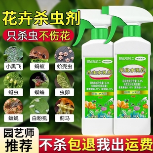 月季 花病虫害常用药专用杀虫剂花卉室内家用除虫绿植驱虫花草蚜虫