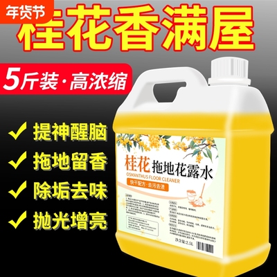 桂花拖地液木地板速干瓷砖清洁剂