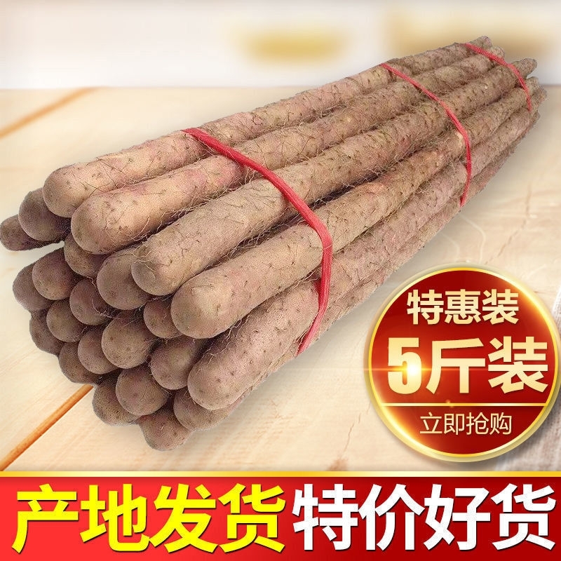 铁棍山药新鲜淮山药铁杆山药小白嘴现挖山药5斤非温县垆土怀山药