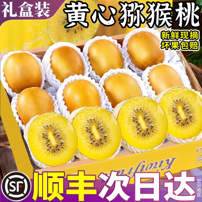 顺丰礼盒正宗四川黄心猕猴桃20枚大果新鲜孕妇水果当季现摘奇异果
