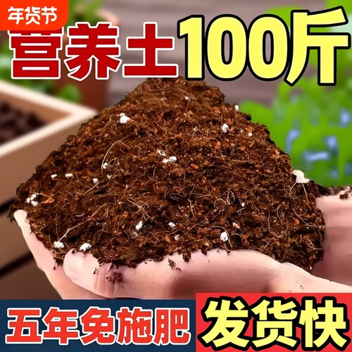 100斤营养土养花专用种植土壤厂家直销土泥土育苗种菜椰砖通用型