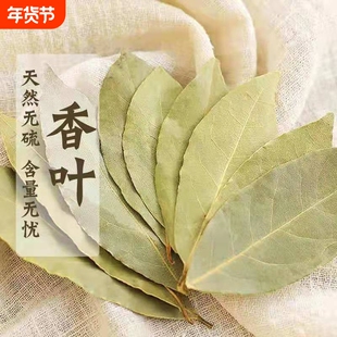 正宗香叶500g深山老林无污染家用八角桂皮大料调料增味去腥20g