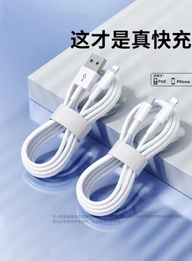 驯龙师 数据线适用于iPhone14苹果13快充11promax手机12充电器7p 6se加长8plus闪充PD20W充电线iPad平板2米XR