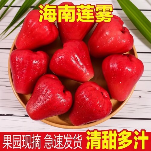 红宝石莲雾果现摘新鲜黑珍珠应季热带水果莲雾海南特产整箱包邮
