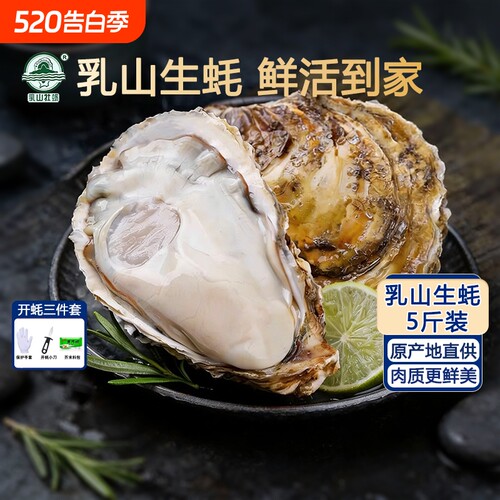 鲜活乳山生蚝新鲜海蛎子牡蛎水产
