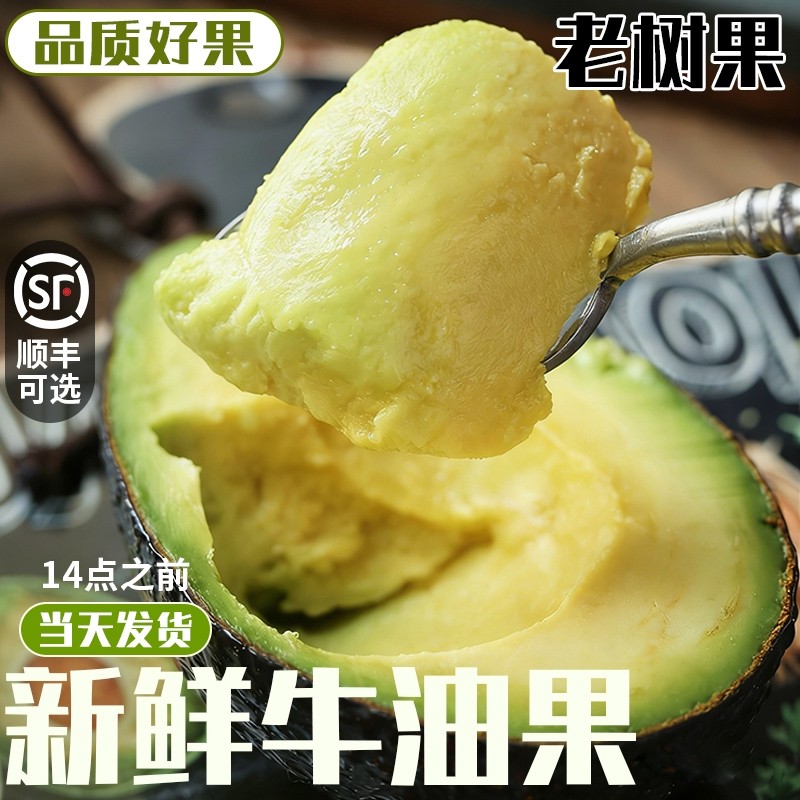 牛油果秘鲁进口新鲜水果大果应当季现摘即食鳄梨哈斯辅食孕妇整箱