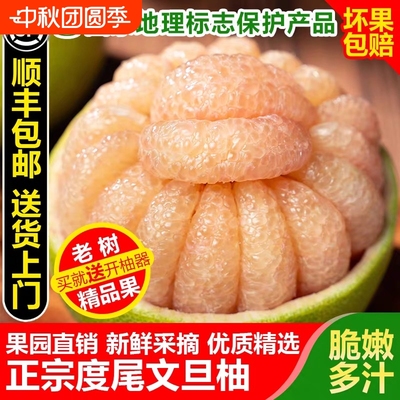 【超划算】福建仙游度尾红心文旦柚当季新鲜现摘孕妇酸甜水果柚子