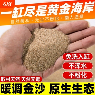 河沙粒精筛粗河砂多肉铺面石君子兰配土颗粒种植养花鱼缸造景底砂