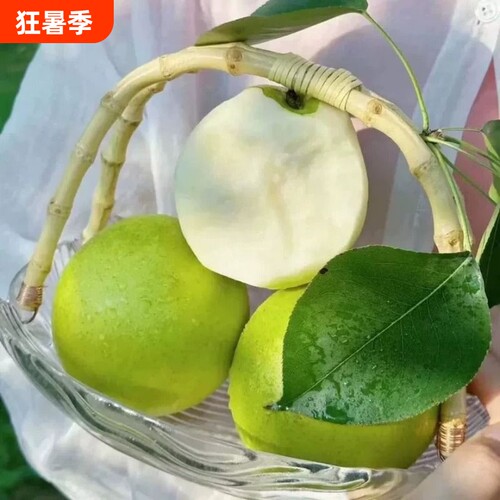 安徽青皮蜜梨酥脆多汁产地直发翠玉翠冠皇冠梨新鲜发货包邮