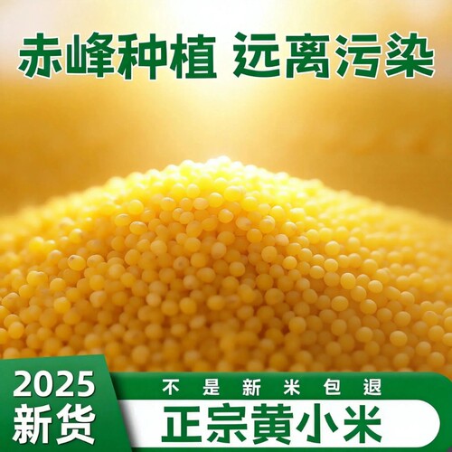 2025东北农家小米黄小米正宗新米黄米五谷杂粮食小米粥米油多粗粮