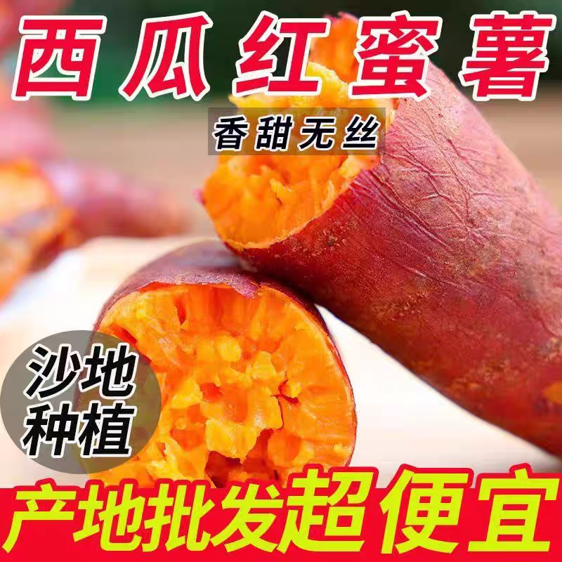 产地直发超甜沙地蜜薯新鲜现挖西瓜红红薯糖心红心番薯香甜