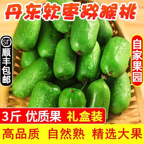 丹东软枣猕猴新鲜采摘顺丰包邮