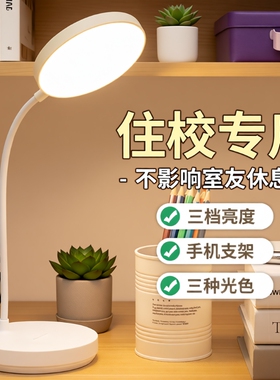 小台灯学习专用充电护眼大学生宿舍儿童led卧室床头灯插电桌面