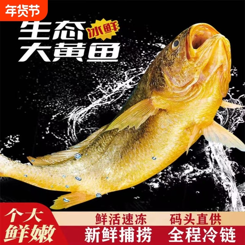 黄花鱼新鲜冷冻养殖大黄鱼生鲜海鲜水产小黄鱼海鱼整箱鲜活冰鲜,水产肉类/新鲜蔬果/熟食,黄鱼,淘宝优惠券,粉丝福利购,淘宝优惠卷