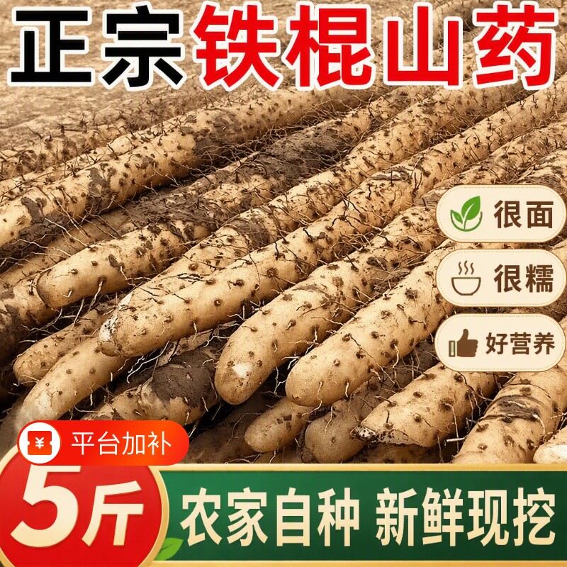 河北铁棍山药小白嘴山药新鲜山药淮山药产地直发新鲜粉糯5斤包邮
