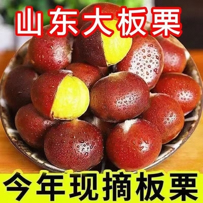 正宗老树丹东板栗蔬菜香甜粉糯