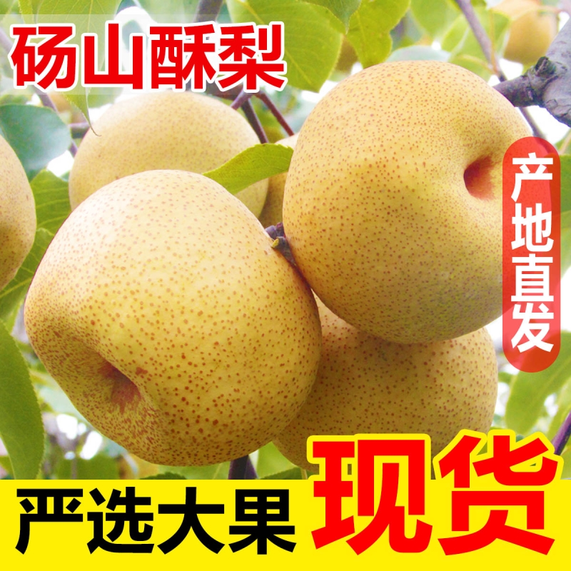 梨子正宗砀山梨酥梨当季水果新鲜现摘安徽皇翠冠整箱青梨香梨雪梨