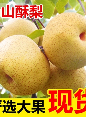 梨子正宗砀山梨酥梨当季水果新鲜现摘安徽皇翠冠整箱青梨香梨雪梨
