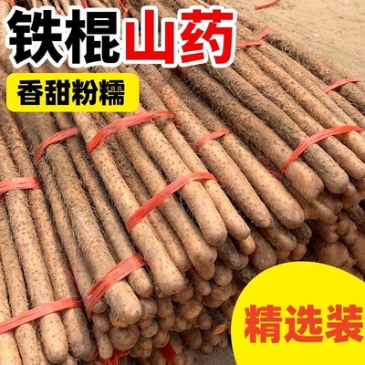 正宗垆土铁棍山药3斤箱装