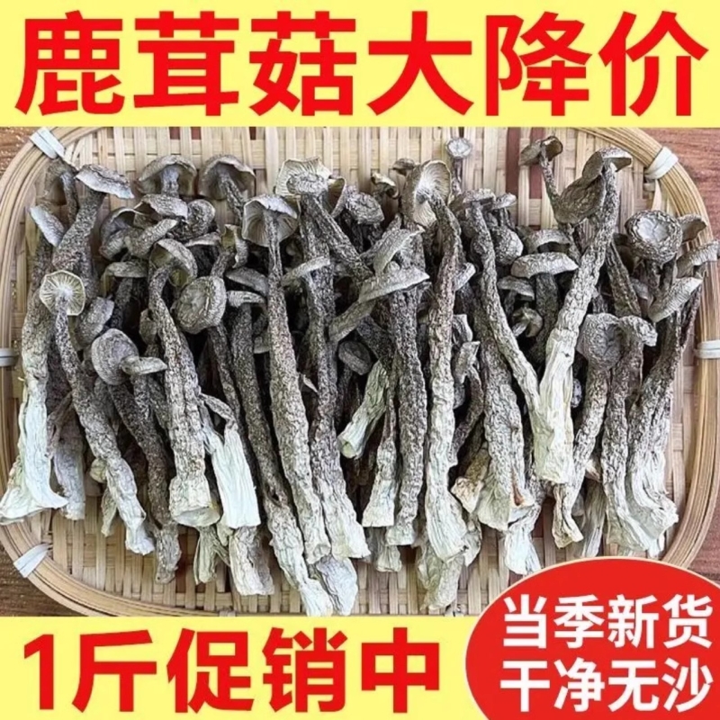 碎块鹿茸菇干货鹿茸菌批发商用香菇蘑菇煲汤炒菜菇的食用巴巴