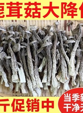 碎块鹿茸菇干货鹿茸菌批发商用香菇蘑菇煲汤炒菜菇的食用巴巴