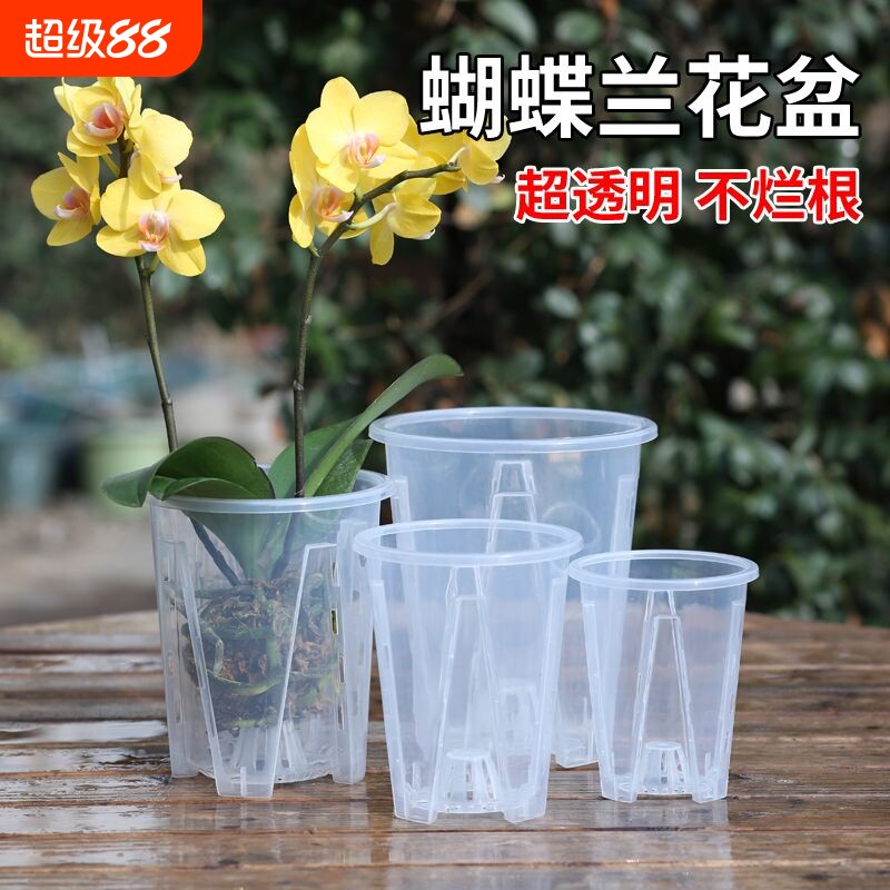 透明青山控根盆兰花水苔蝴蝶兰专用花盆塑料透气镂空大号家用君子图片