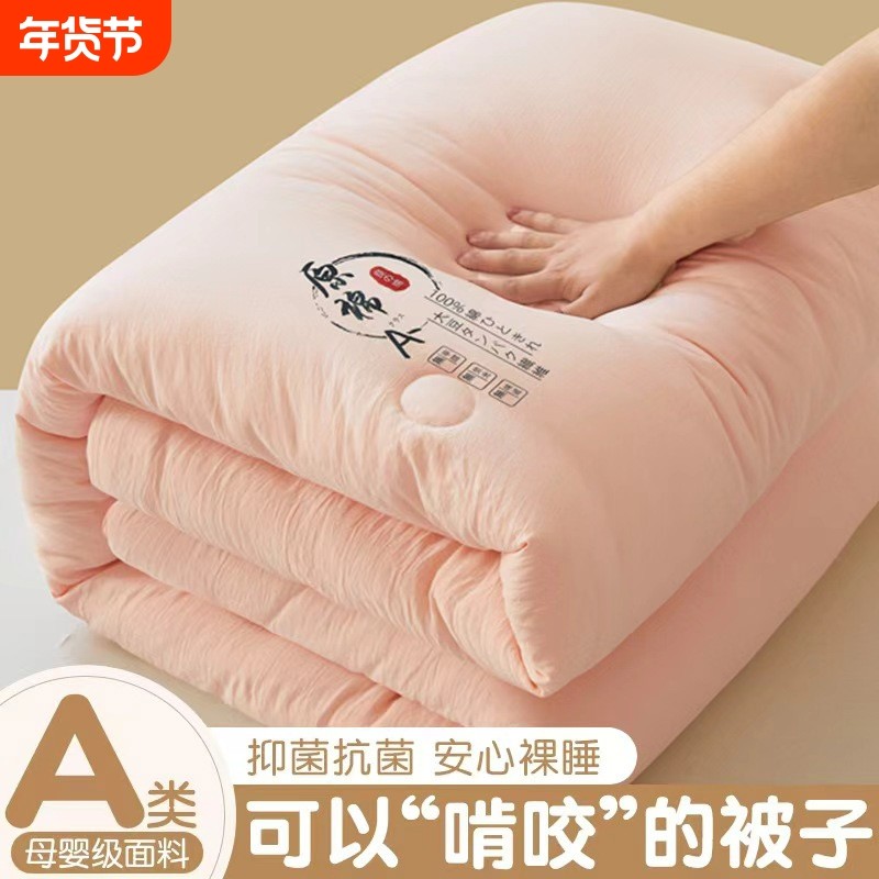 大豆纤维被子冬被被芯加厚保暖棉春秋单人宿舍空调被四季通用棉被