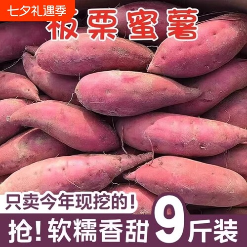 现挖龙九蜜薯番薯地瓜红薯新鲜黄心板栗自种山芋香甜软糯源头