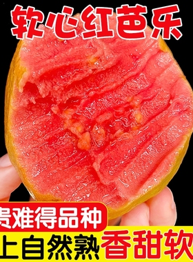 福建红心芭乐番石榴水果新鲜包邮低糖中小果翻蕃软糯巴乐果果园