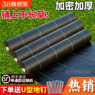 果树防草布耐用园艺地布遮草布盖草布地布隔草布果园防草长地膜