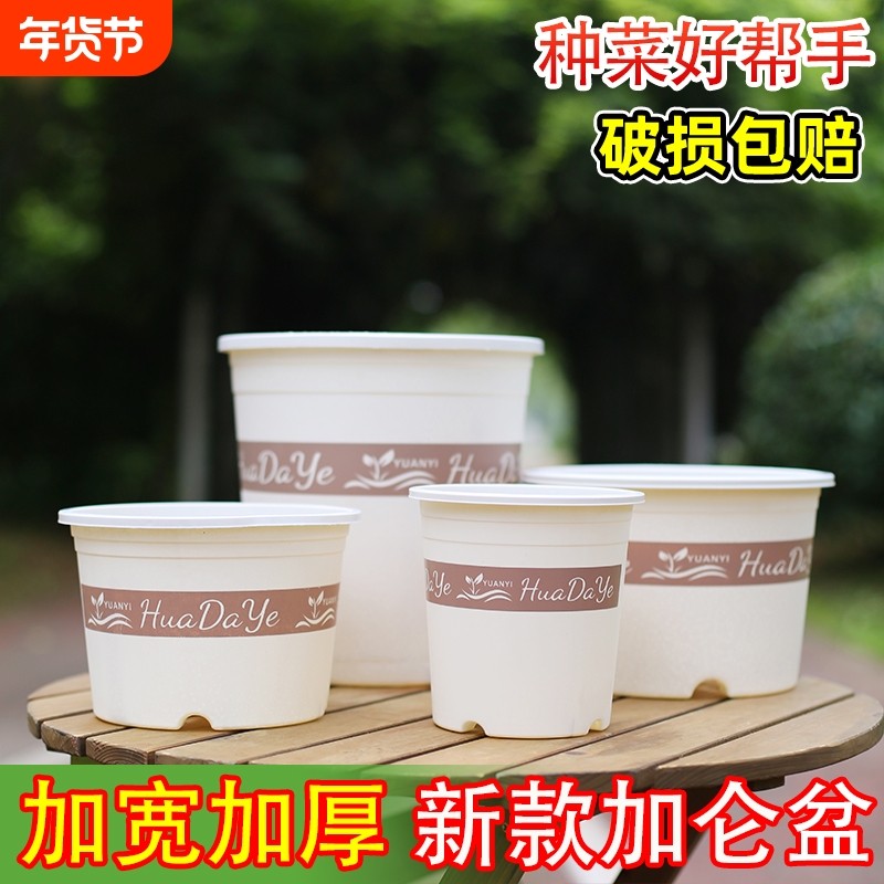 树脂三代白色加仑盆透气多孔排水不闷根阳台带托盘高款新款种菜,鲜花速递/花卉仿真/绿植园艺,花盆,淘宝优惠券,粉丝福利购,淘宝优惠卷