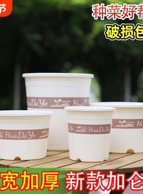 树脂三代白色加仑盆透气多孔排水不闷根阳台带托盘高款新款种菜