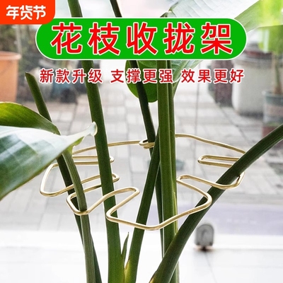 龟背竹固定支架|超4000次加购