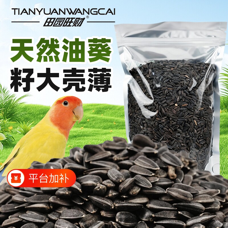 鹦鹉专用粮鸟食油葵小瓜子奖励零食玄凤虎皮牡丹专用鸟粮食谷子