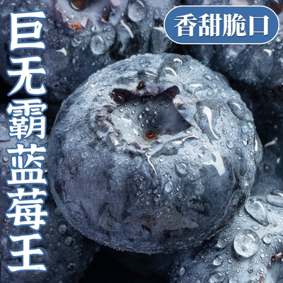 云南蓝莓新鲜水果顺丰包邮当季高山怡颗孕妇大果一颗巨无霸每日
