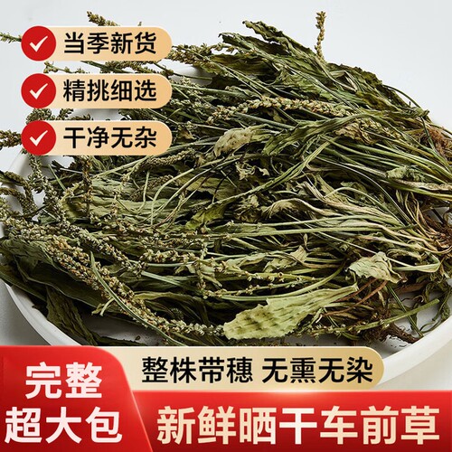 车前草野生干货官方旗舰店正品500g泡水喝整株中药材夏枯草新鲜