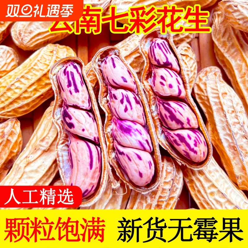七彩花生米云南普洱特产带壳晒干2025新货生熟原味咸干五彩花生