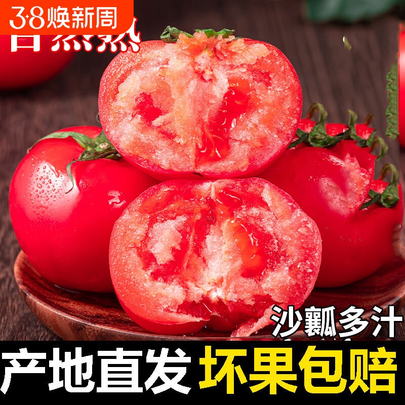 沙瓤西红柿新鲜品质甄选5斤装当季水果蔬菜健康自然成熟番茄