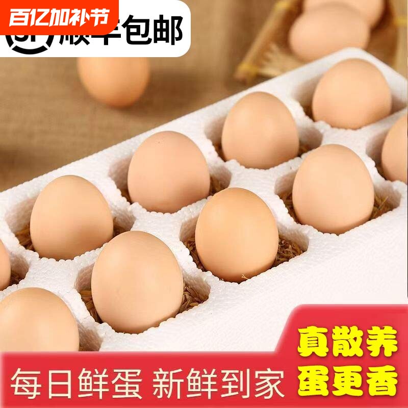 顺丰包邮正宗散养新鲜土鸡蛋农家自养草鸡蛋初柴鸡蛋笨鸡蛋初生蛋