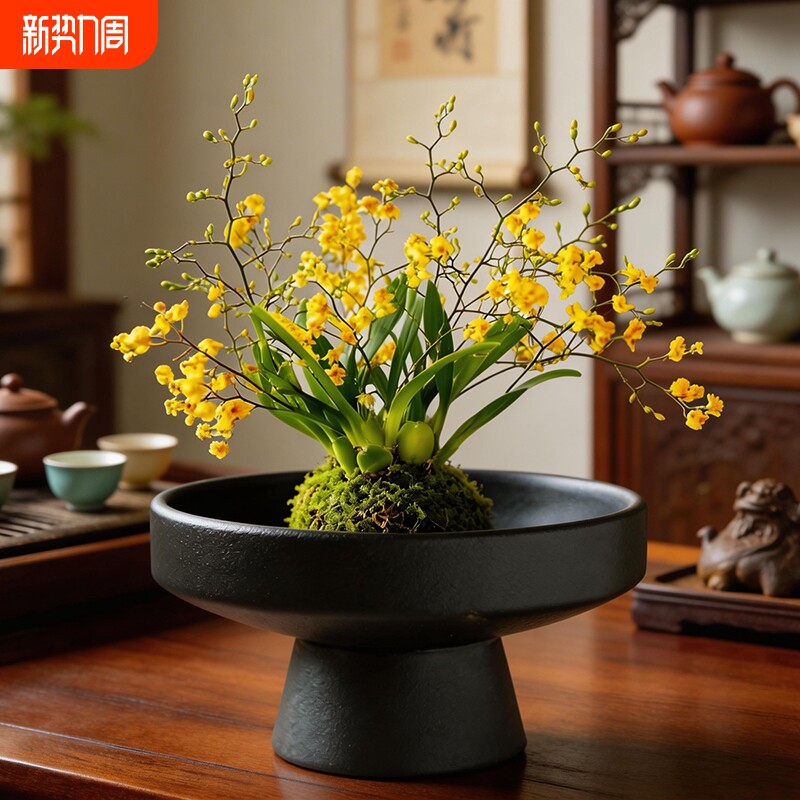 苔藓球托盘花盆陶瓷盆中式亚光简约桌面摆件水培米竹干果盆托国风