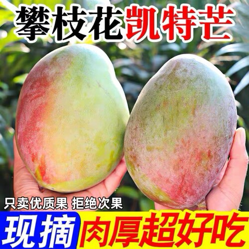 攀枝花凯特芒果新鲜甜心芒当季孕妇水果现摘青皮芒特大果整箱包邮