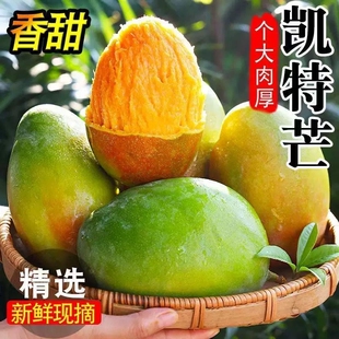 攀枝花凯特芒果9斤芒果当季新鲜水果当季四川忙果甜青皮大澳芒