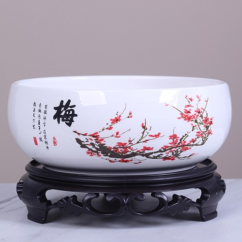 水仙花大号铜钱草花盆陶瓷