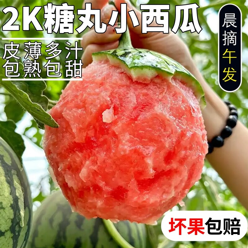 正宗2K糖丸小西瓜应当季新鲜水果薄皮手剥冰淇淋手撕红心西瓜