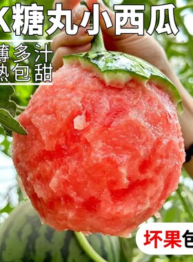 2K糖丸小西瓜应当季新鲜水果