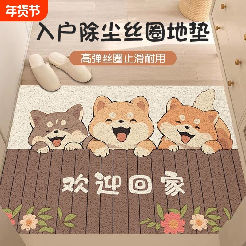 入户门垫地垫门口丝圈脚垫地毯进门客厅家用入门垫免洗耐脏防滑,居家布艺,入户地垫,淘宝优惠券,粉丝福利购,淘宝优惠卷