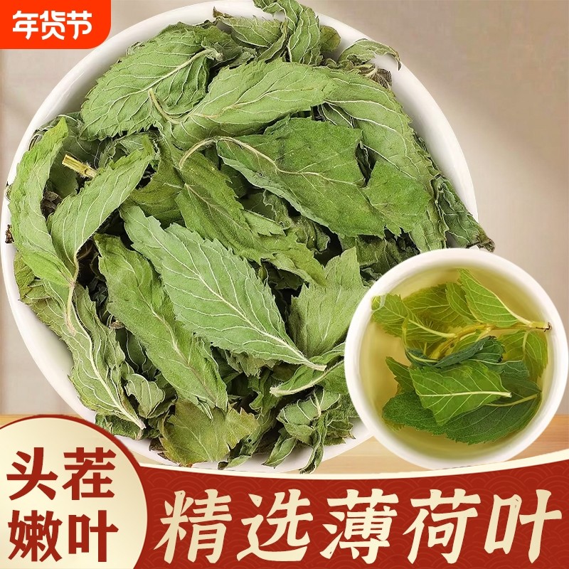 薄荷叶中药材新货无硫干薄荷叶泡茶泡水薄荷叶食用薄荷叶新鲜嫩叶