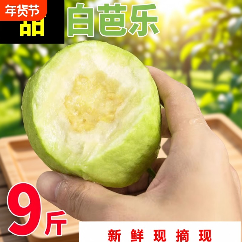 广西白心芭乐番石榴水果9斤新鲜当季孕妇珍珠白肉土巴乐整箱包邮,水产肉类/新鲜蔬果/熟食,番石榴/芭乐,淘宝优惠券,粉丝福利购,淘宝优惠卷